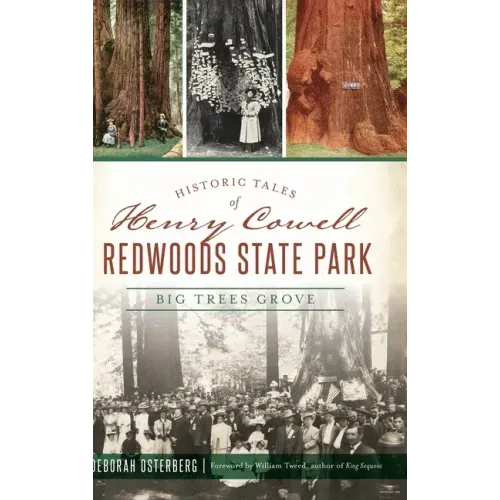 Historic Tales of Henry Cowell Redwoods State Park: Big Trees Grove