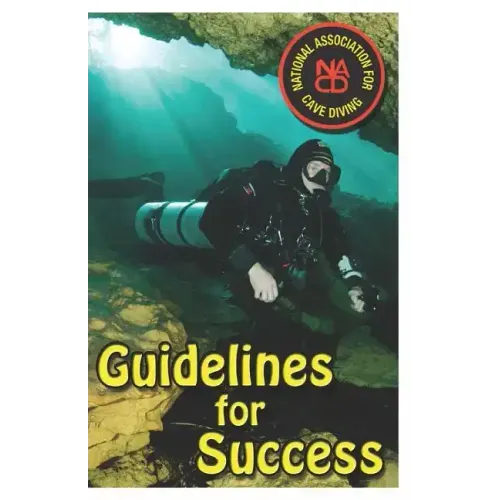 Guidelines for Success