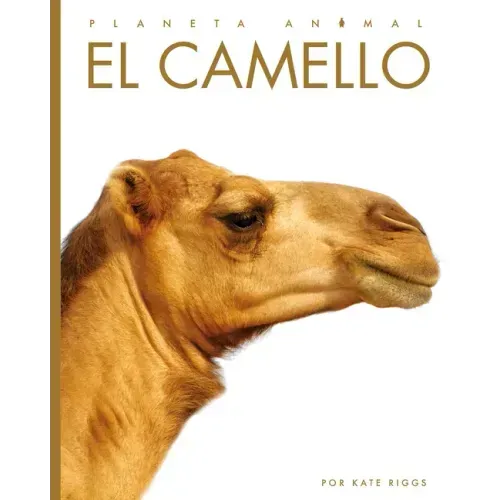El Camello