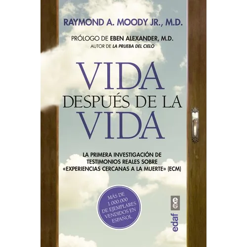 Vida Despues de la Vida -V3*