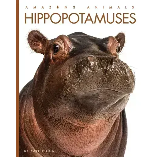 Hippopotamuses