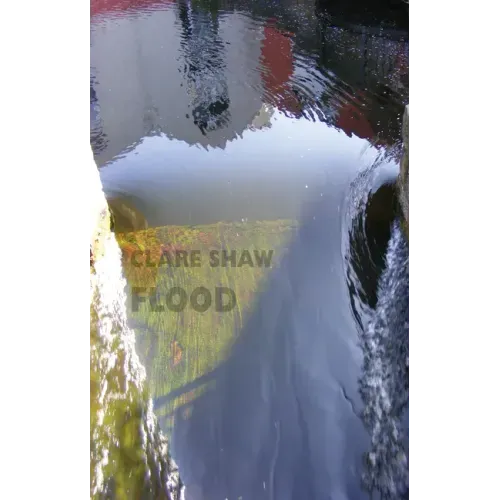 Flood