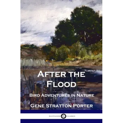After the Flood: Bird Adventures in Nature