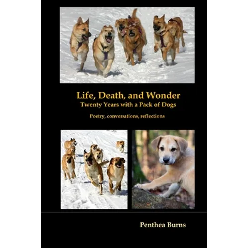 Life, Death, and Wonder Twenty Years with a Pack of Dogs