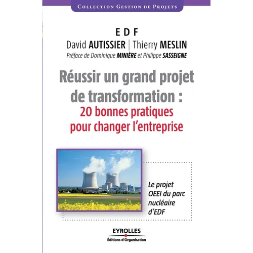 Réussir un grand projet de transformation: 20 bonnes pratiques pour changer l'entreprise