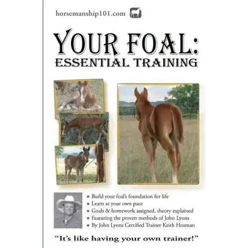 Your Foal: Essential Training