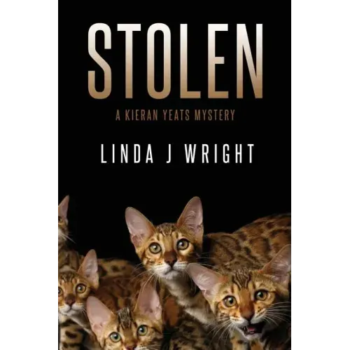 Stolen: A Kieran Yeats Mystery