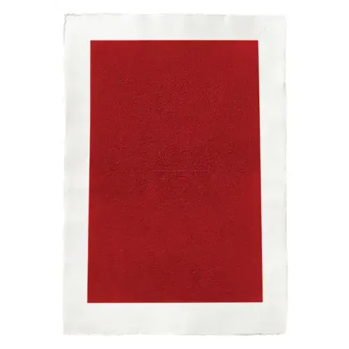 Kees Visser: Monochromes