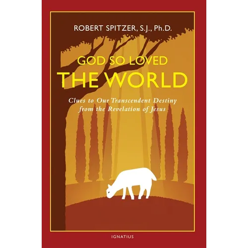 God So Loved the World: Clues to Our Transcendent Destiny from the Revelation of Jesus