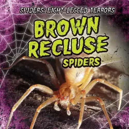 Brown Recluse Spiders