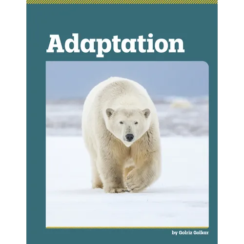 Adaptation