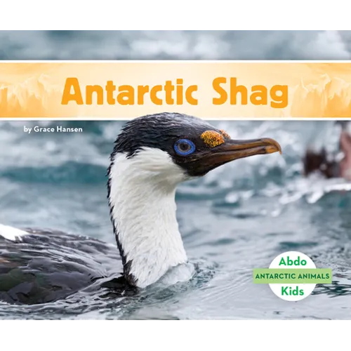 Antarctic Shag