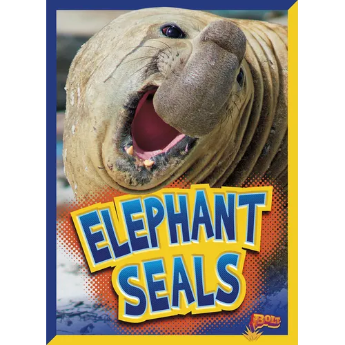 Elephant Seals