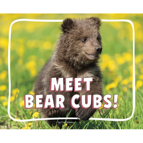 Meet Bear Cubs!