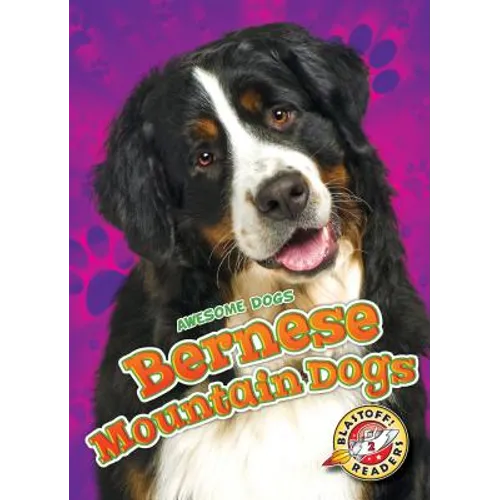 Bernese Mountain Dogs