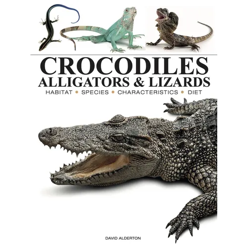 Crocodiles, Alligators & Lizards: From Black Caimans to Komodo Dragons