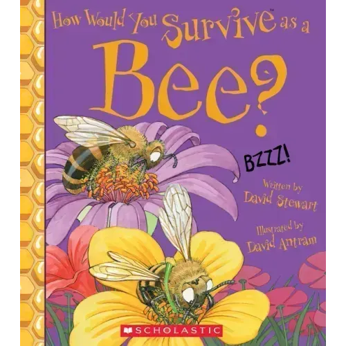 How Would You Survive as a Bee?