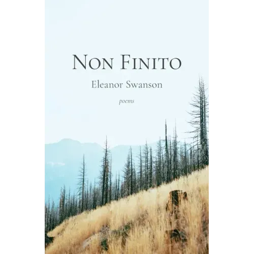 Non Finito