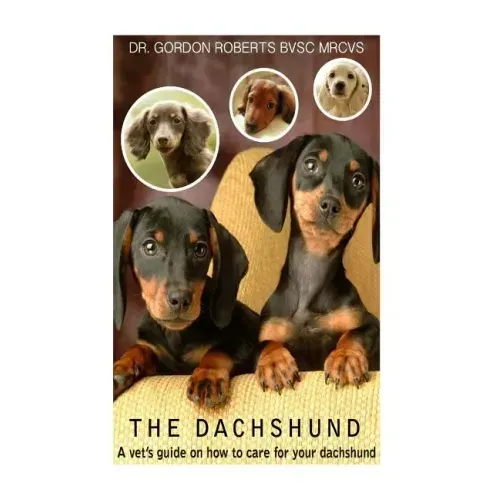 The Dachshund: A vet's guide on how to care for your Dachshund