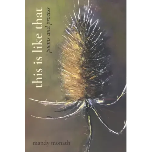 This Is Like That: Poems and Process
