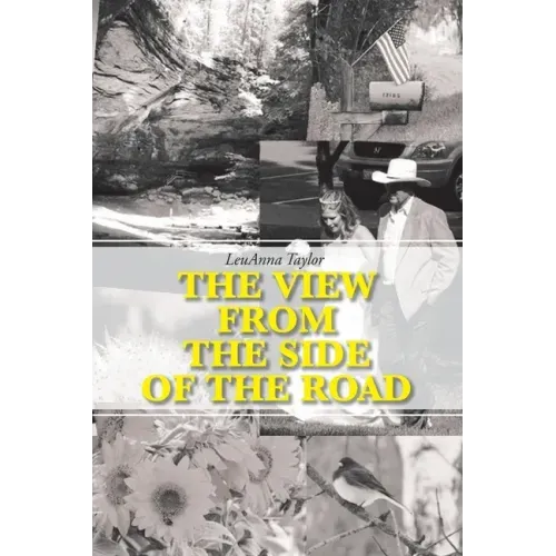 The View from the Side of the Road