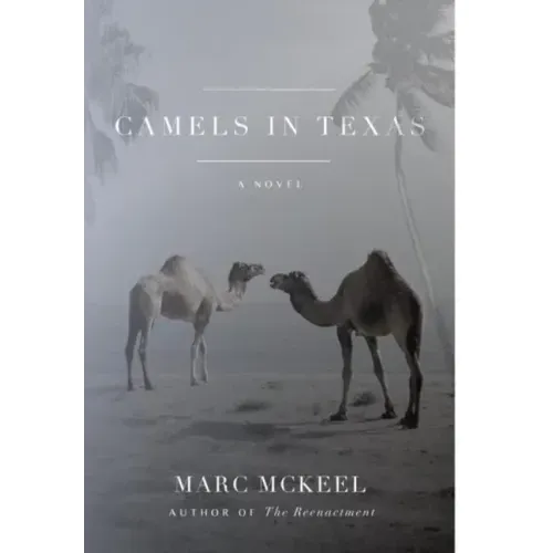Camels in Texas