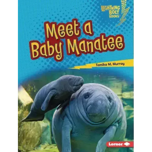 Meet a Baby Manatee