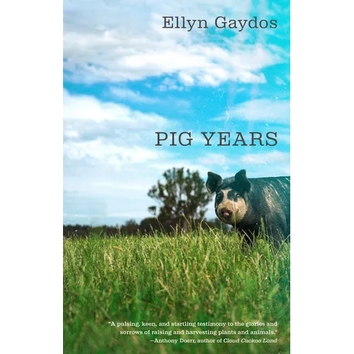 Pig Years