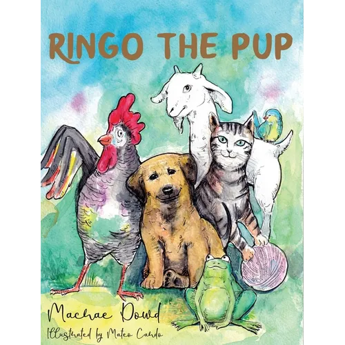 Ringo The Pup