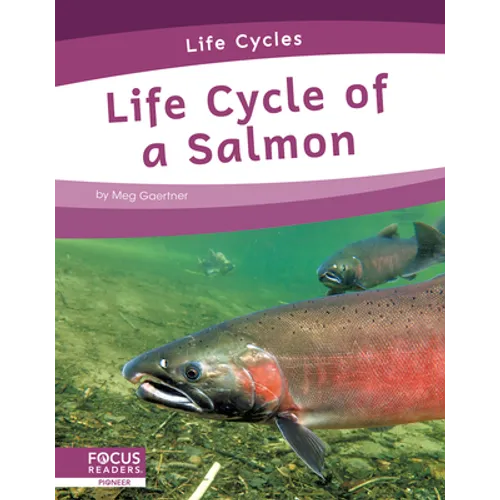 Life Cycle of a Salmon