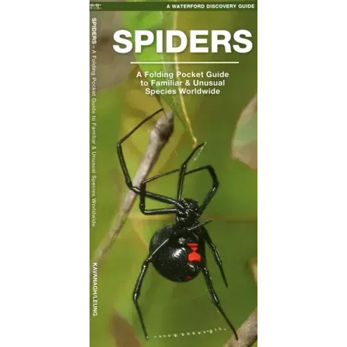 Spiders: A Folding Pocket Guide to Familiar Species Worldwide