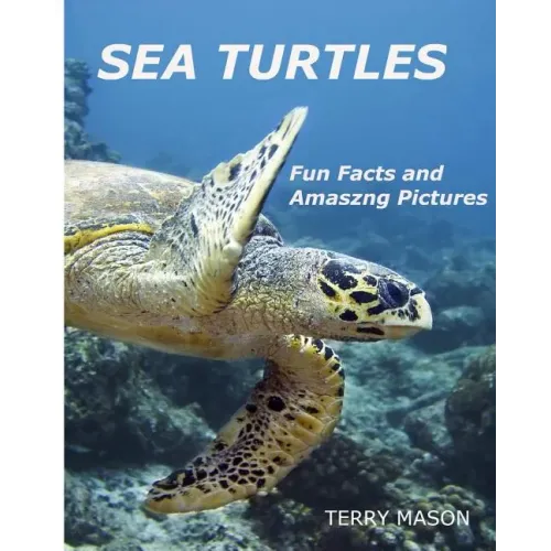 Sea Turtles: : Fun Facts and Amazing Pictures