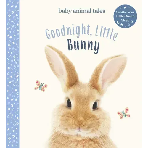 Goodnight, Little Bunny: A Board Book