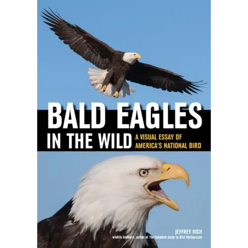 Bald Eagles in the Wild: A Visual Essay of America's National Bird