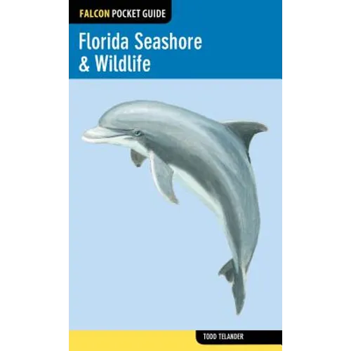 Florida Seashore & Wildlife