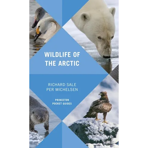 Wildlife of the Arctic