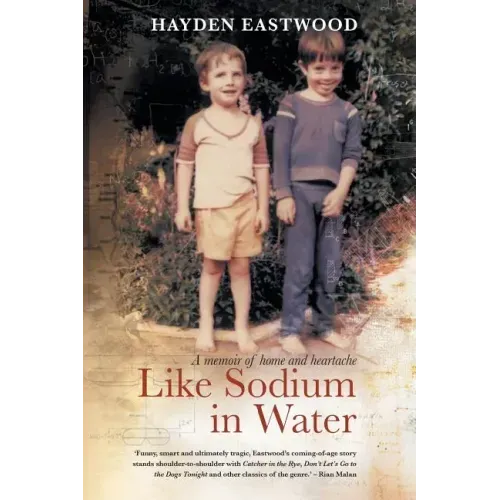 Like Sodium in Water: A memoir of home and heartache