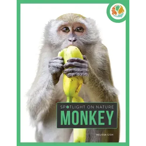 Monkey