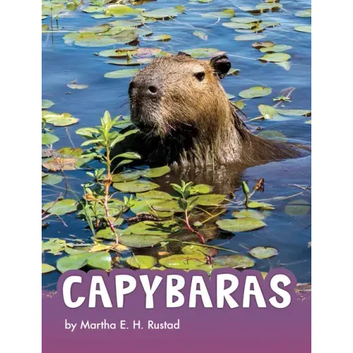 Capybaras