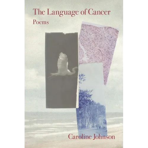 The Language of Cancer
