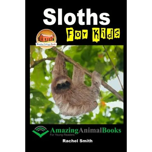 Sloths For Kids