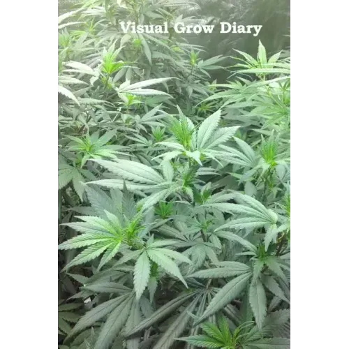 Visual Grow Diary
