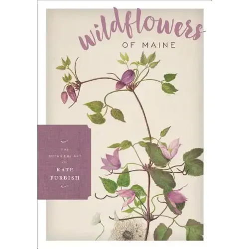 Wildflowers of Maine