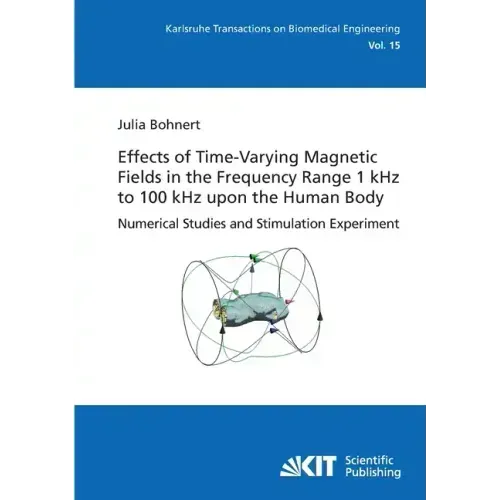 Effects of Time-Varying Magnetic Fields in the Frequency Range 1 kHz to 100 kHz upon the Human Body: Numerical Studies and Stimulation Experiment
