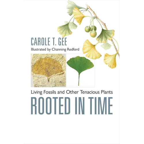 Rooted in Time: Living Fossils and Other Tenacious Plants