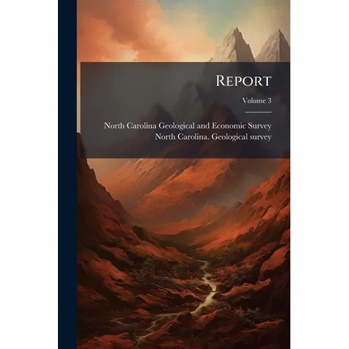 Report; Volume 3