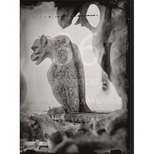 Tomas Van Houtryve: 36 Views of Notre Dame