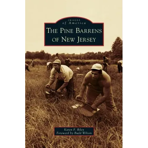 Pine Barrens of New Jersey