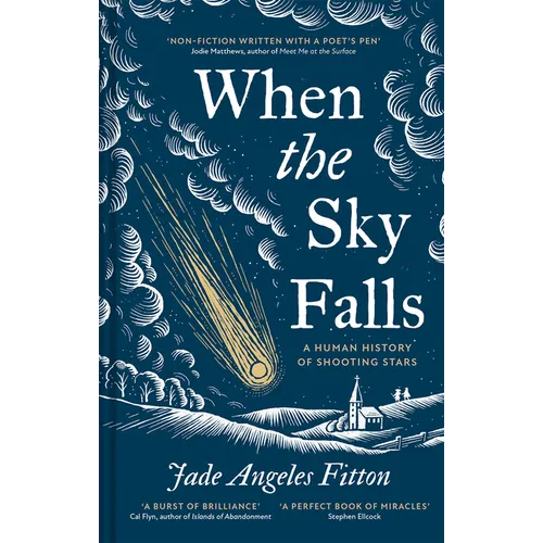 When the Sky Falls: A Human History of Shooting Stars