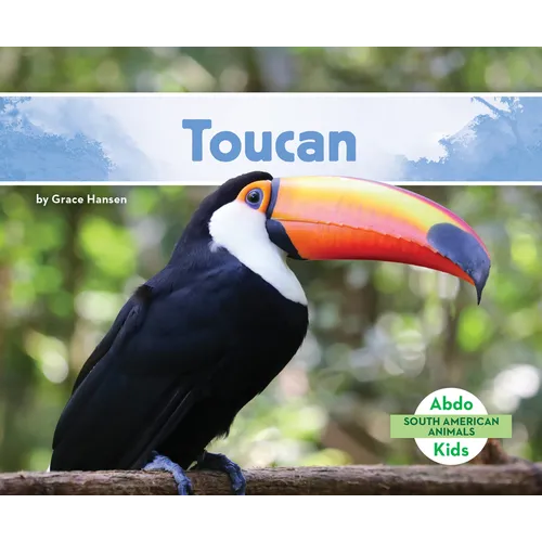 Toucan